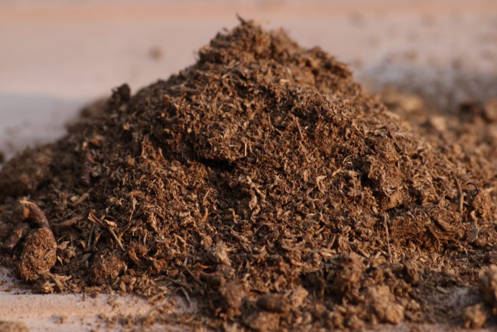 close up of peat moss