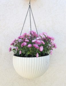 resin hanging planter planter for carnivorous plants