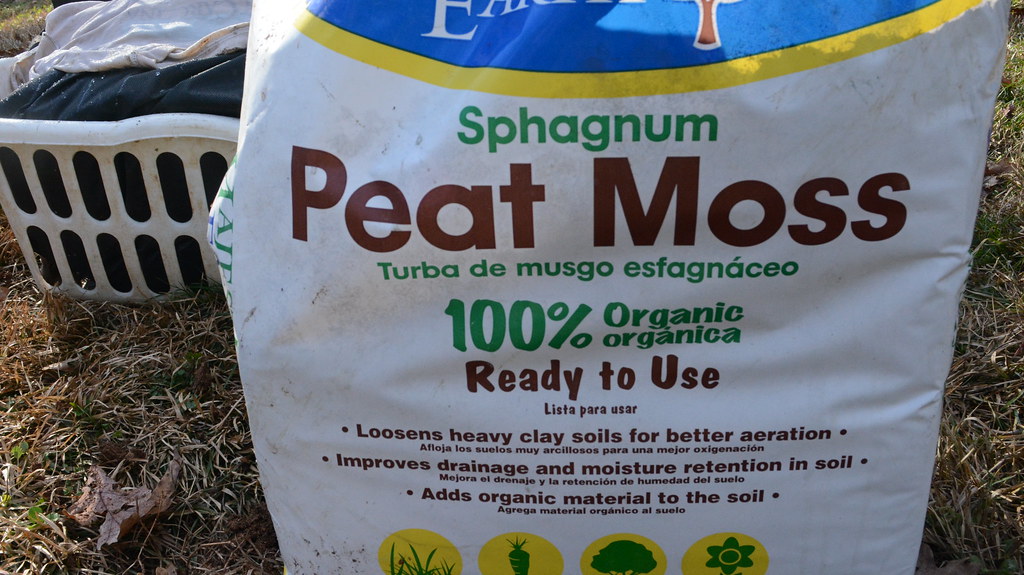 sphagnum peat moss