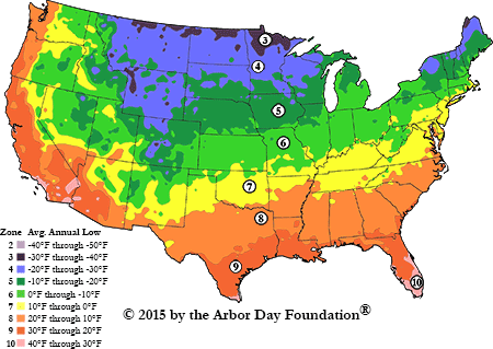 venus flytrap hardiness zone united states